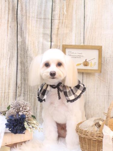 20241026風太郎くん